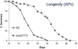 longevity